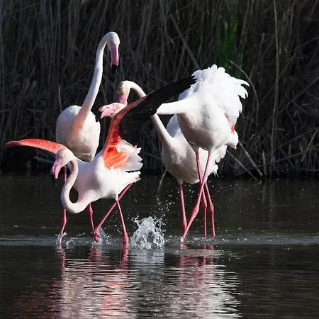 דירה Casa Francesco