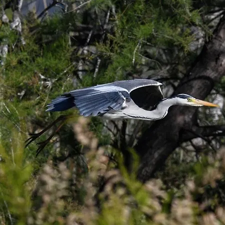 Casa Francesco דירה