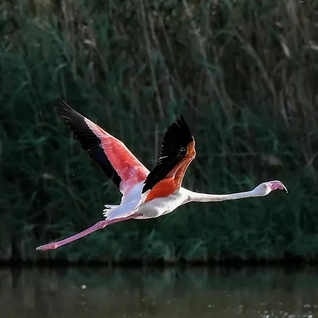 Casa Francesco Куарту-Сант'Элена