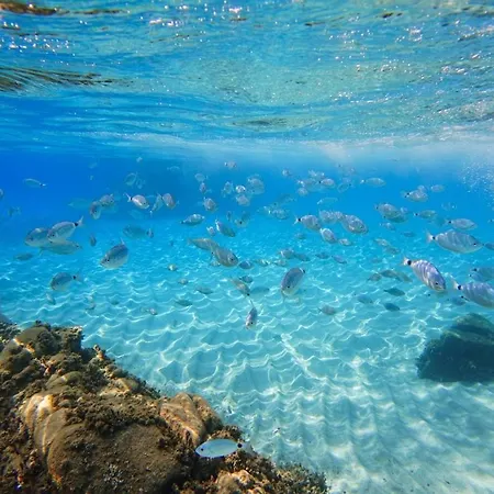 Casa Francesco Quartu SantʼElena