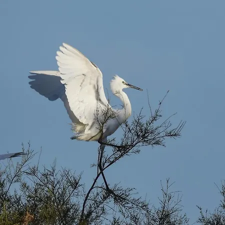 Apartmán Casa Francesco Quartu SantʼElena