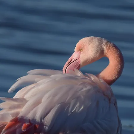 Casa Francesco Apartmán *